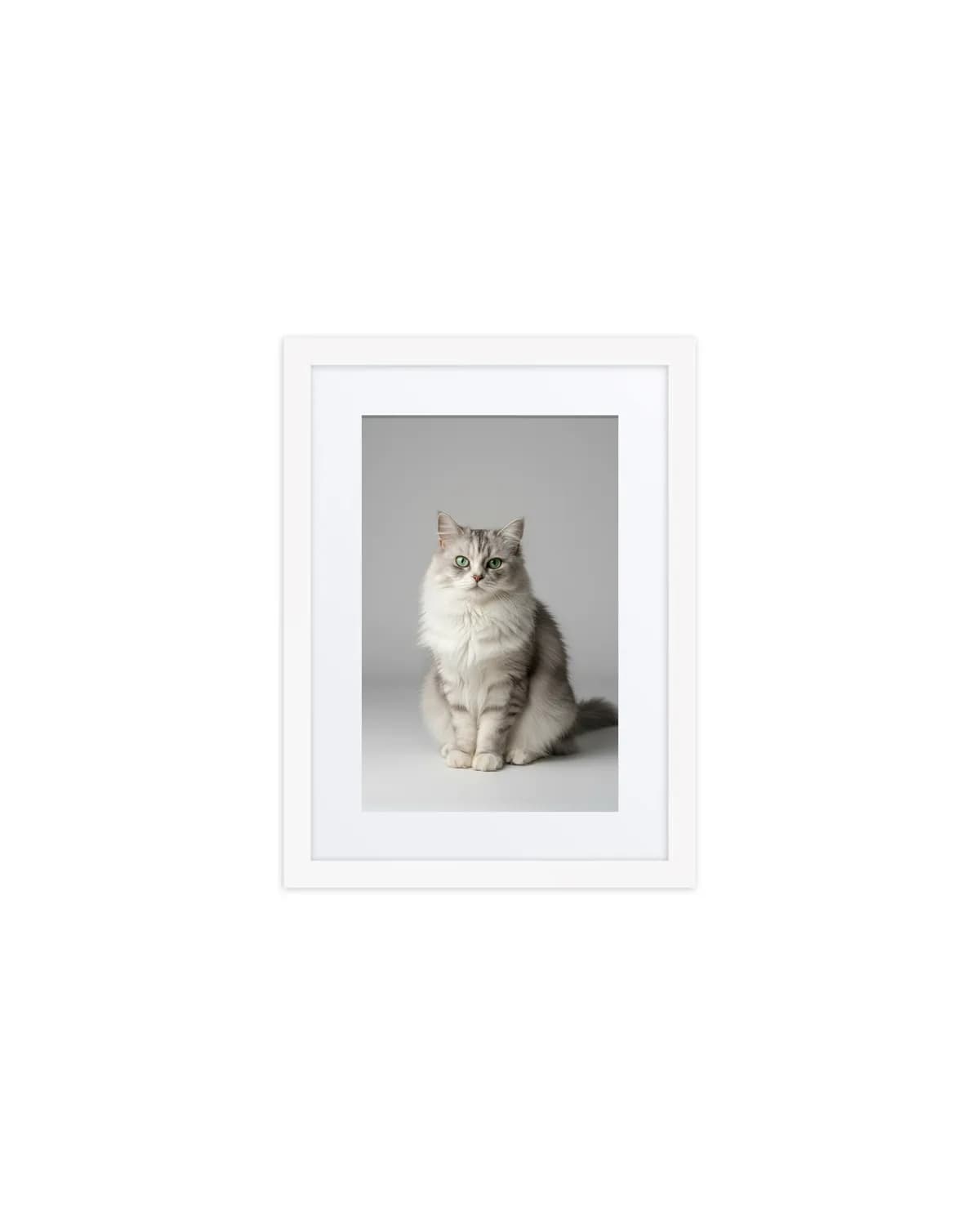 The framed poster in a white frame, holding a studio photography portrait of a fluffy gray cat