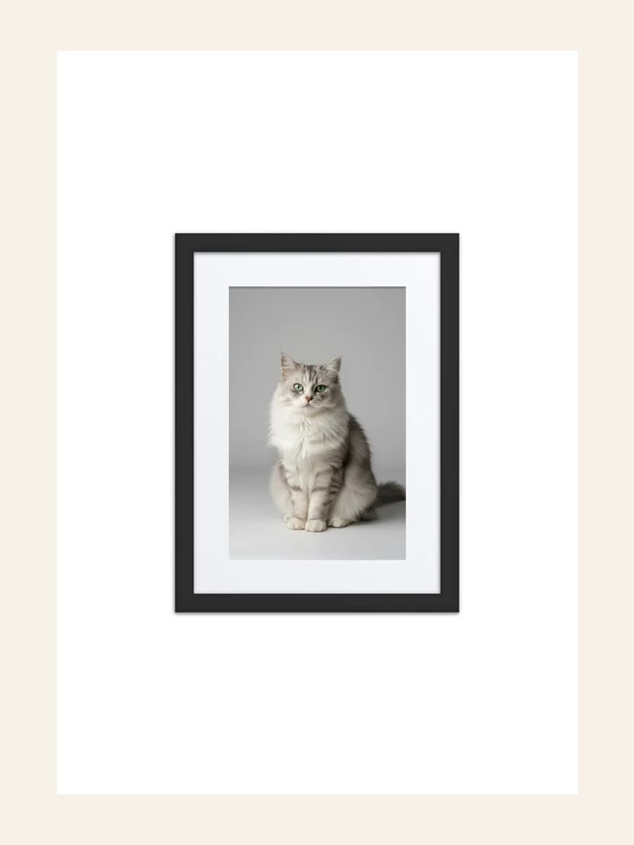 Black framed poster with a studio photography portrait of a gray cat